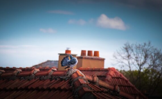 Réparation de toiture à Garges-lès-Gonesse : intervention rapide et solutions professionnelles